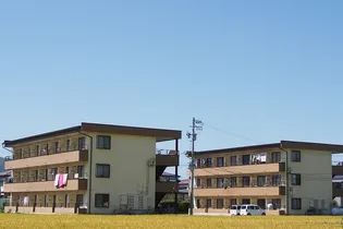 ビューロックウェーブの画像