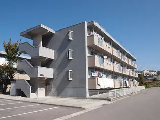 マンショングランヴェール1号館の画像