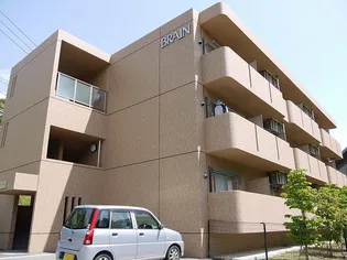 BRAIN サクセスの画像