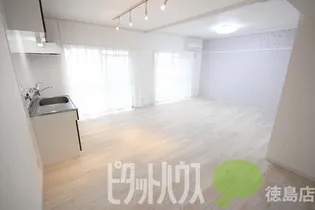スカイハイツ新田の画像