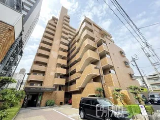 ダイアパレス新内町【903号室】の外観