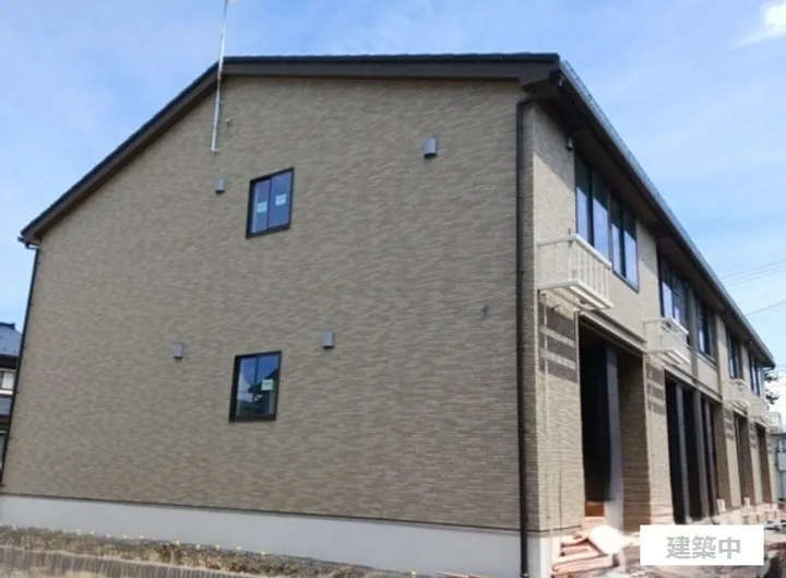 サンフラワーの画像