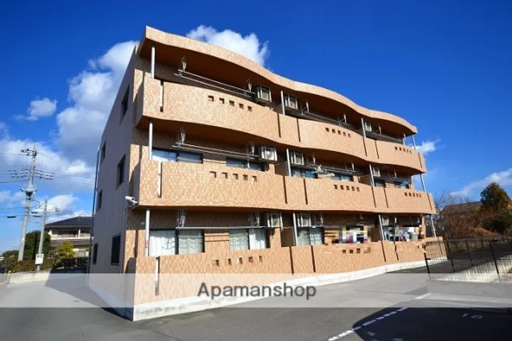 カーサティグルの画像