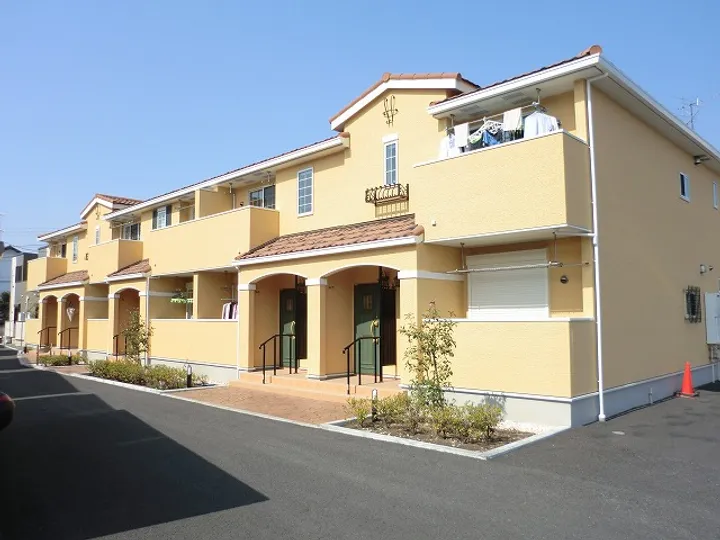 プリムラの画像