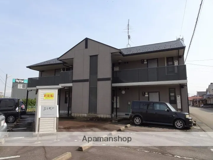 シェモアの画像