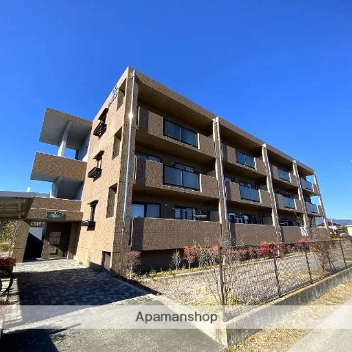 アプリコットの画像