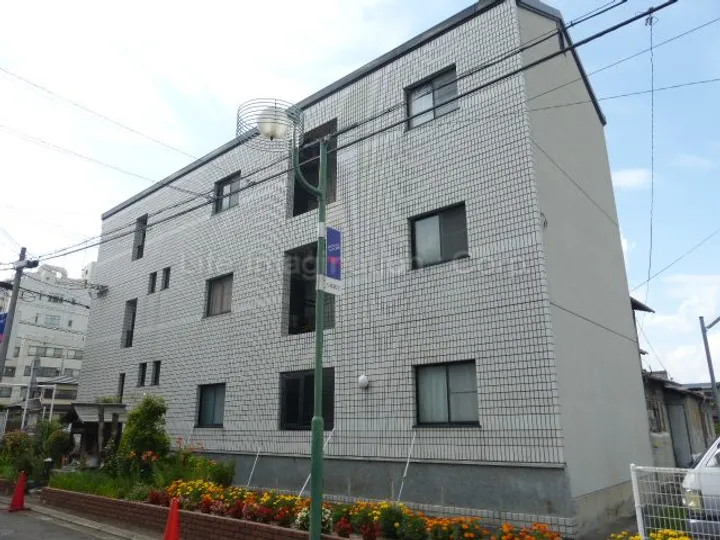 シャングリラの画像