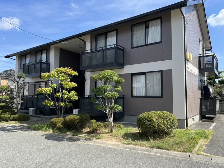 ベルディ桑南の画像