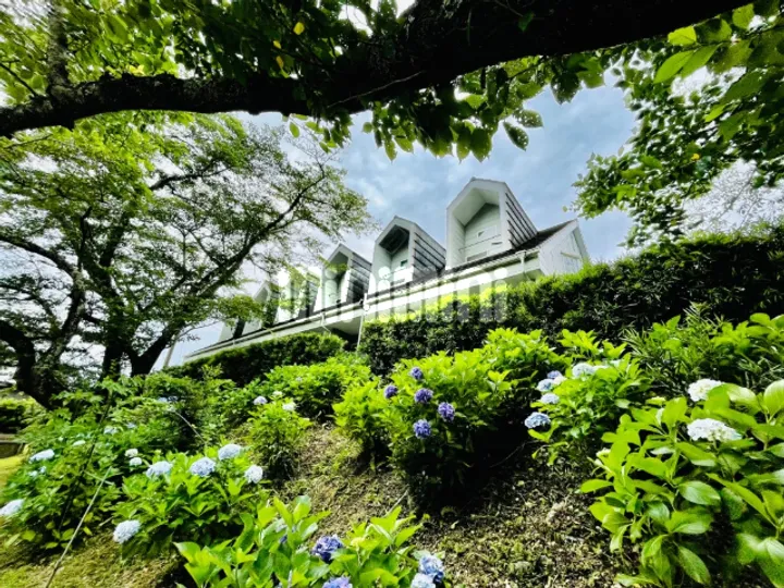 マロード 北谷の画像