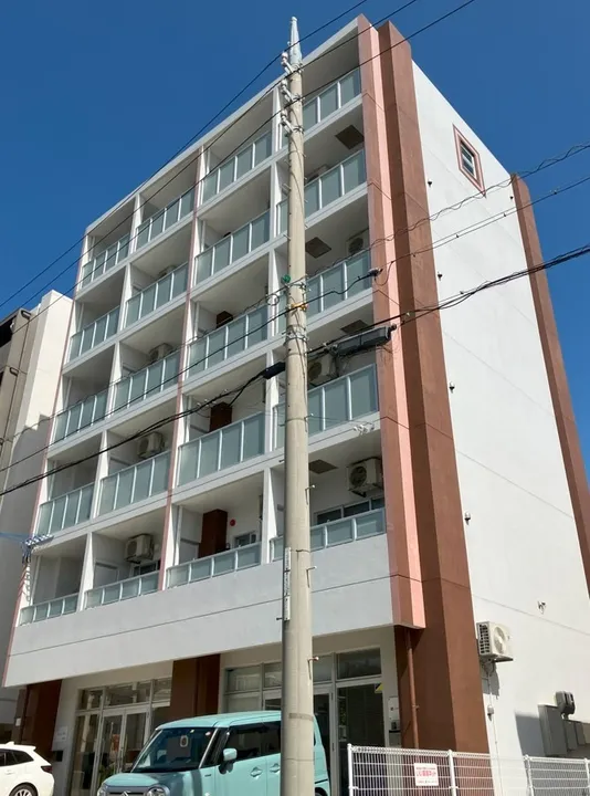 プティカカオの画像