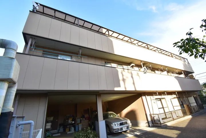 ガーデンリリオの画像