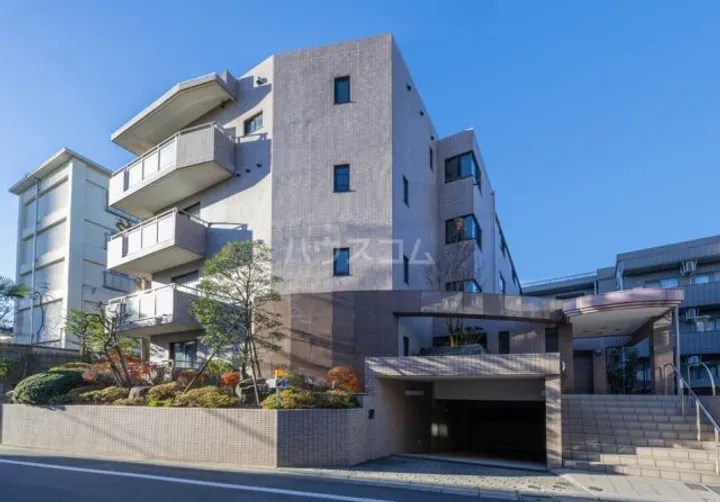 ウィルT Y上馬の画像