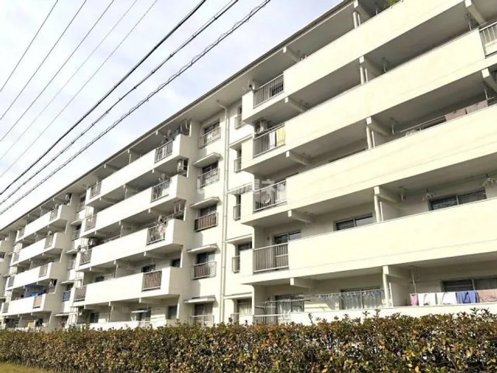 藤の木団地1号棟の画像