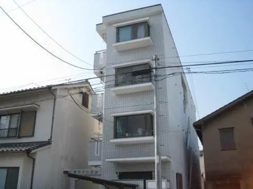 ホワイト指金の画像