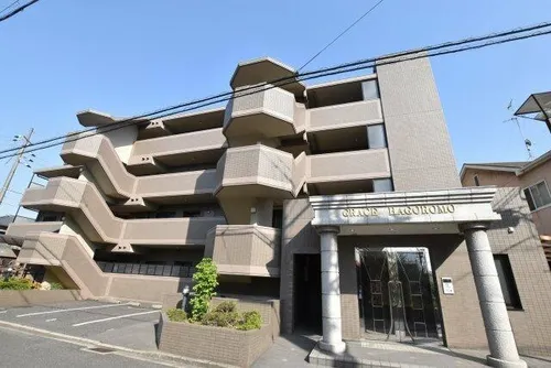 グレイス羽衣の画像