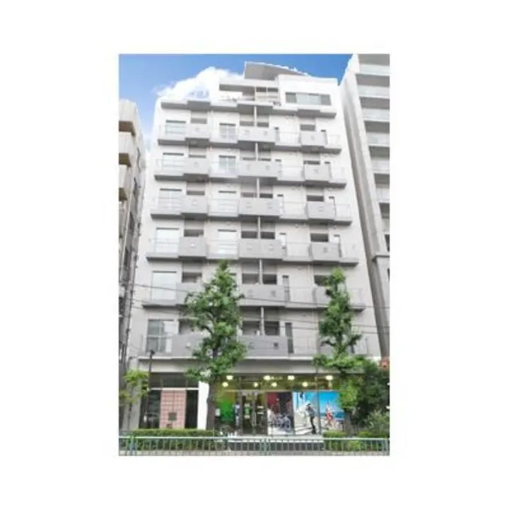 ホワイトフロントの画像