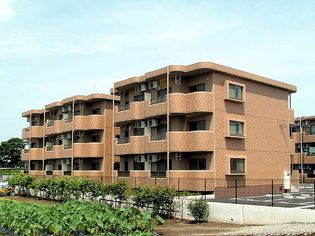 熱海市 静岡県 の賃貸 賃貸マンション アパート 賃貸スモッカ 対象者全員に家賃1か月分キャッシュバック