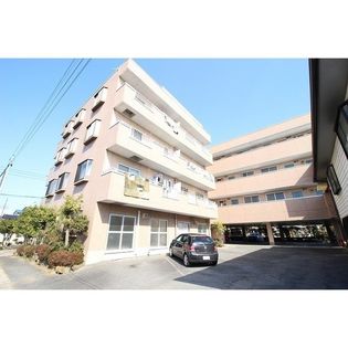 ペット可を含む水戸市 茨城県 の賃貸 賃貸マンション アパート 賃貸スモッカ 対象者全員に家賃1か月分キャッシュバック