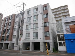 北海道札幌市白石区平和通3丁目北の賃貸マンション