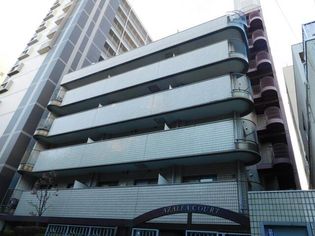 東京都新宿区百人町2丁目の賃貸マンション