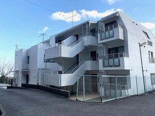 兵庫県神戸市灘区城の下通3丁目の賃貸マンション