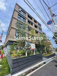 兵庫県芦屋市朝日ケ丘町の賃貸マンション