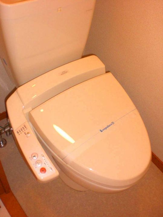 レオパレスMINAMIYAMA110の内装