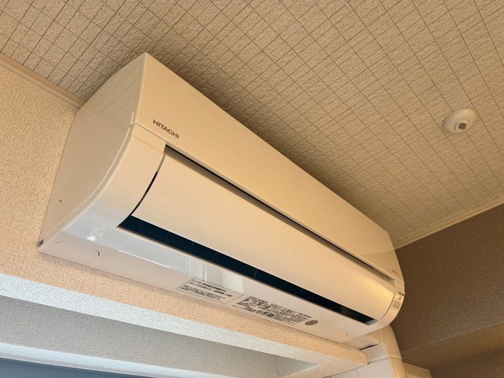 ソラナのその他画像