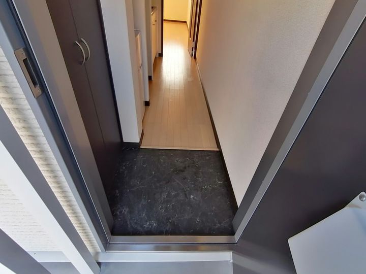 レオネクストロッソ明神木204の玄関