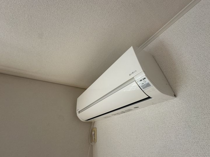 アンジェリカⅡのその他画像
