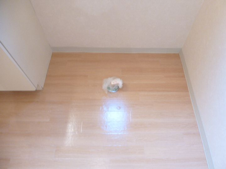 リバーハイツの内装
