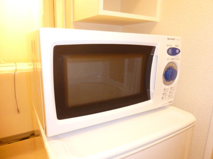 レオパレスハレルヤ107のその他画像