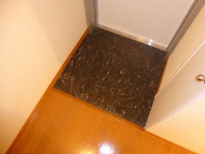 レオパレスマロンモーレー105の玄関