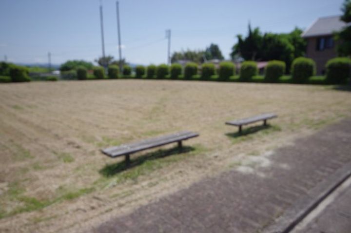 フローリッシュA棟のその他画像