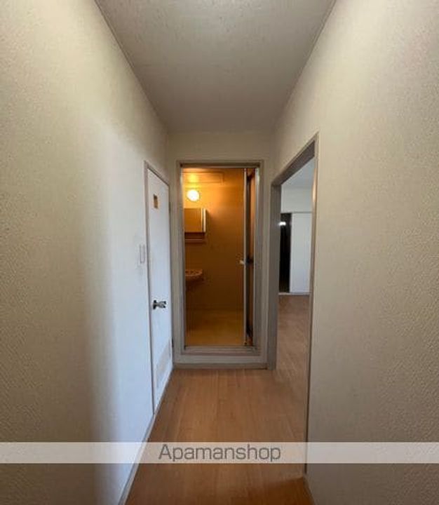 大阪府大阪市住吉区苅田8丁目の賃貸マンションの内装