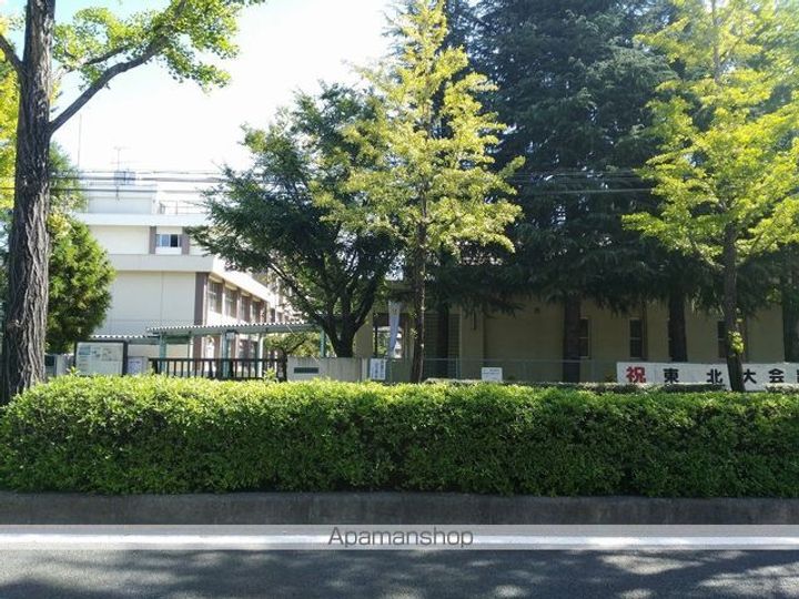 宮城県仙台市青葉区台原6丁目の賃貸マンションの周辺