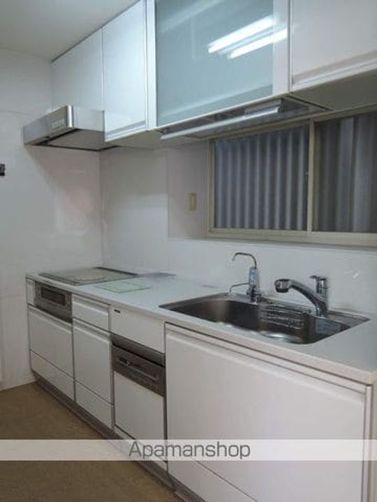 大阪府泉北郡忠岡町高月北2丁目(一戸建)の賃貸物件戸建てのキッチン