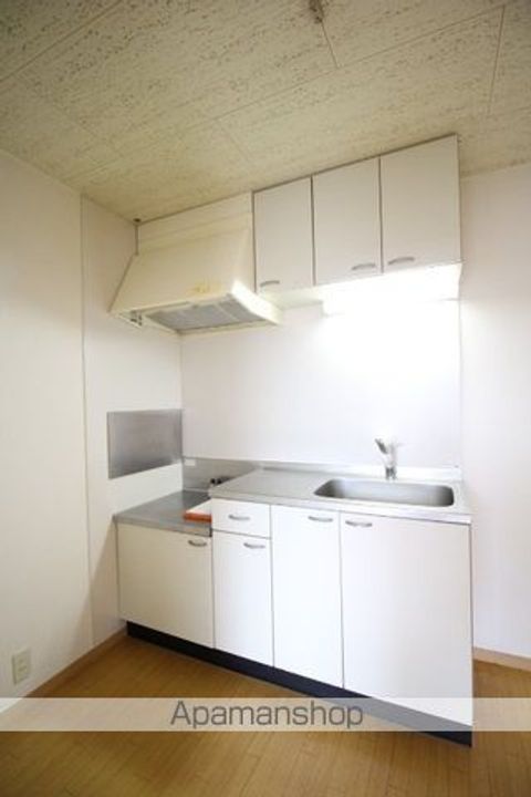 岡山県岡山市中区中井3丁目の賃貸アパートのキッチン