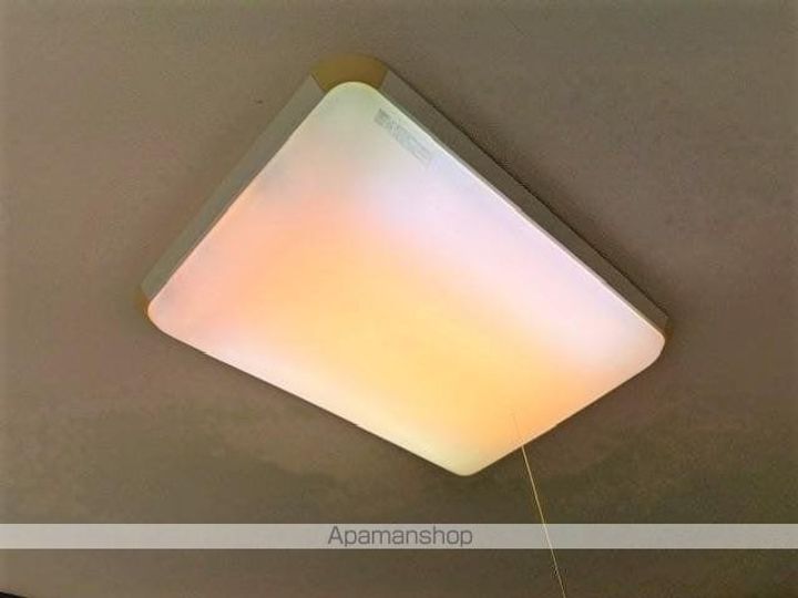 ドリームコート南平110号室の内装