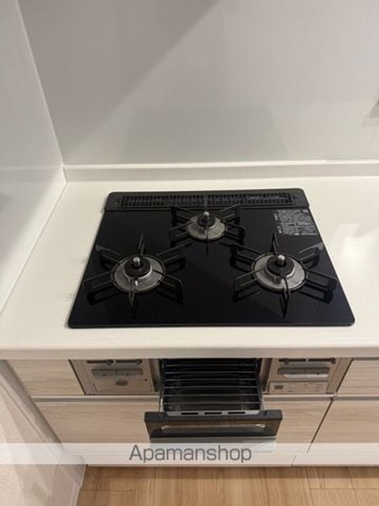 大阪府大阪市住之江区浜口東3丁目の賃貸マンションの内装