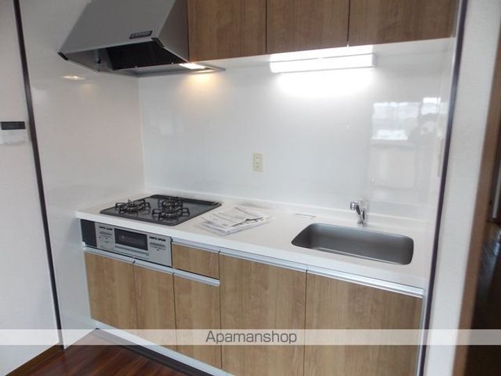 愛知県犬山市松本町3丁目の賃貸マンションのキッチン