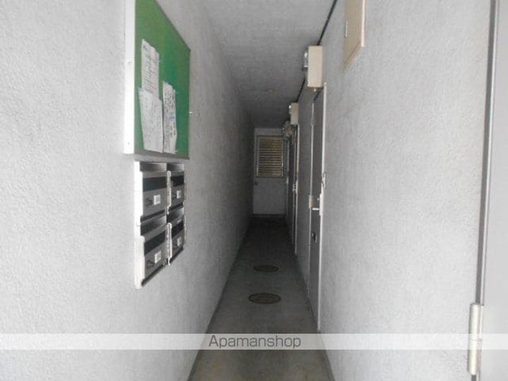 キャロルのその他画像