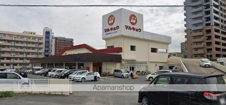 ルピナスの周辺