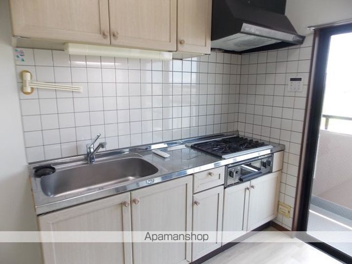 愛知県犬山市大字五郎丸字前畑の賃貸マンションのキッチン