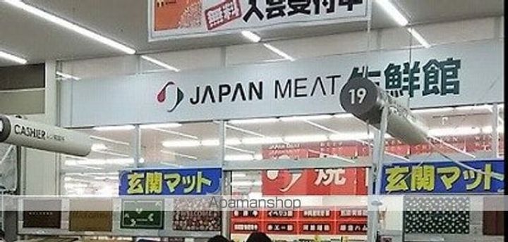 ブロッサムの周辺