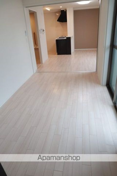 大阪府堺市堺区戎島町3丁の賃貸マンションの内装