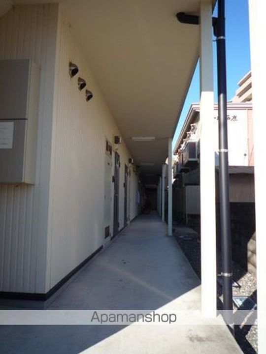 Y’Zハタゴのその他画像