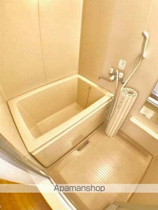 滋賀県野洲市市三宅の賃貸アパートの風呂