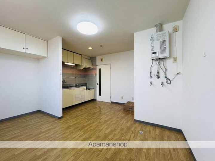 カネオビル柏木(カネオビルカシワギ)307の内装