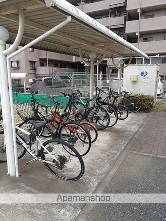 リバー・アイランドのその他画像